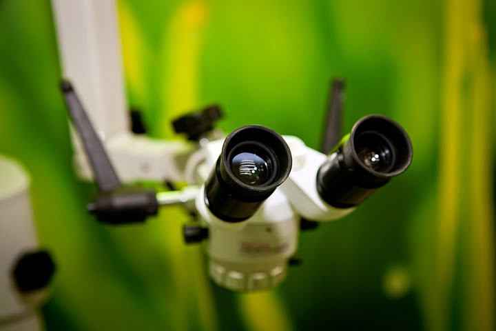 Gabinet stomatologiczny 32